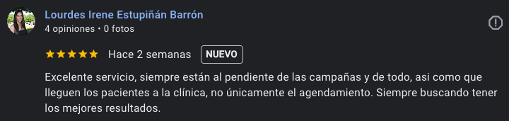 Reseña de Lourdes Irene